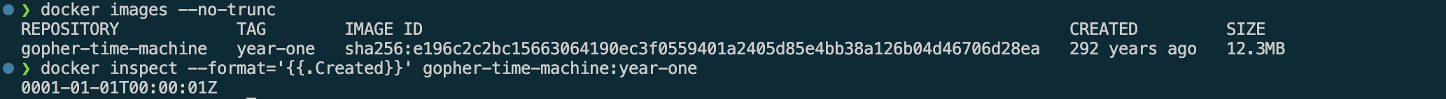 Docker CLI showing time traveling container for year one