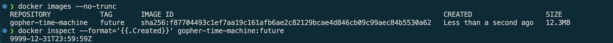 Docker CLI showing time traveling container for year 9999 AD